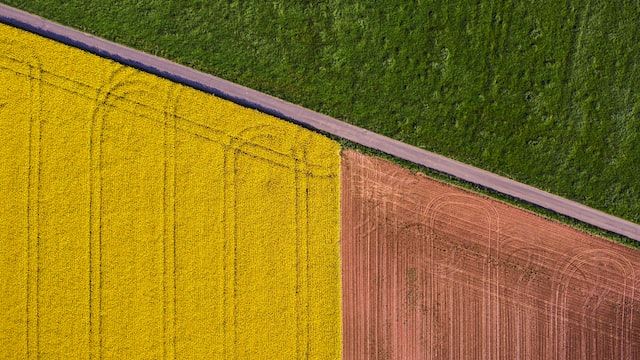 Photo by jean wimmerlin on Unsplash of three differently coloured fields meeting together