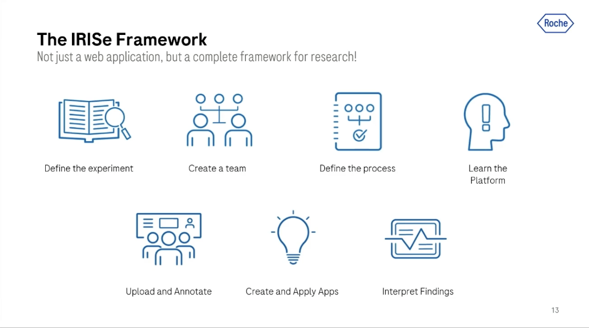 The IRISe Framework